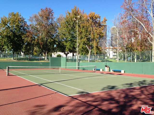 Park Tennis Court