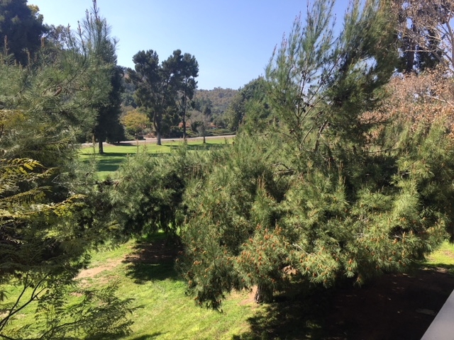 VIEWS of the Golf Course from the Condo.