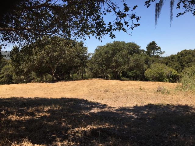 Alta Madera (Tehama Lot 4), 93923, ,For Sale,Alta Madera (Tehama Lot 4),ML81710056