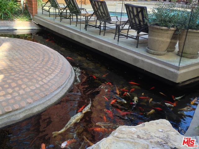 Koi Pond & Decks