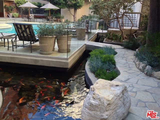 Koi Pond & Bridge