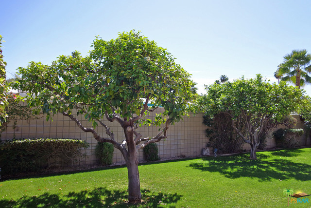 Private Gated Backyard