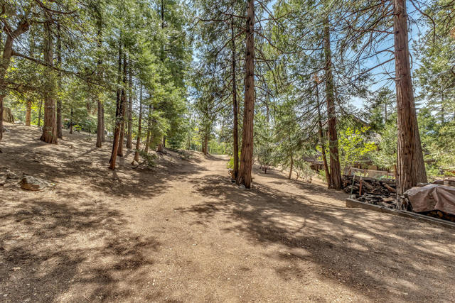 Property Photo 26