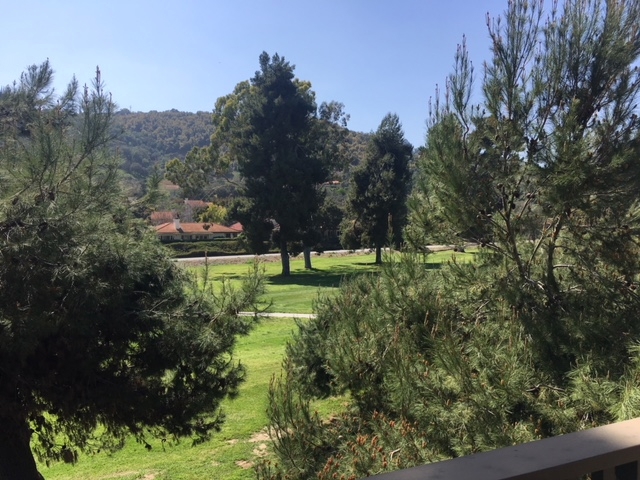 VIEWS of the Golf Course from the main living areas.