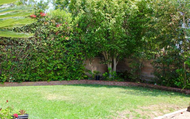 1908 Manzanita_Backyard 1