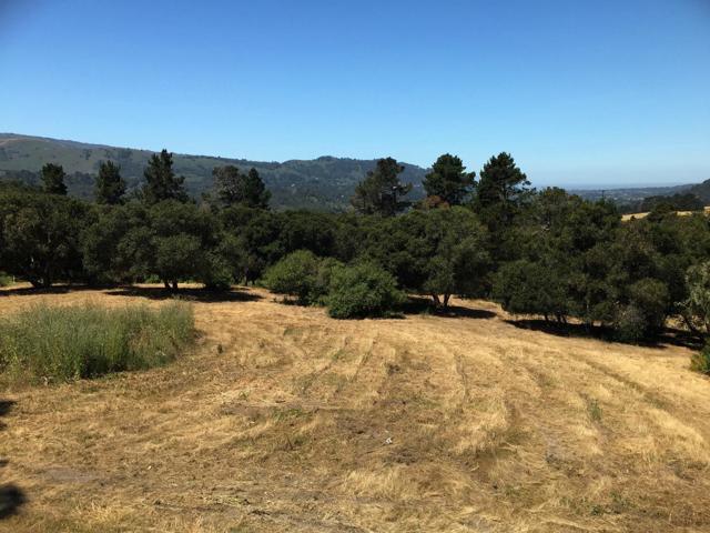 Alta Madera (Tehama Lot 4), 93923, ,For Sale,Alta Madera (Tehama Lot 4),ML81710056