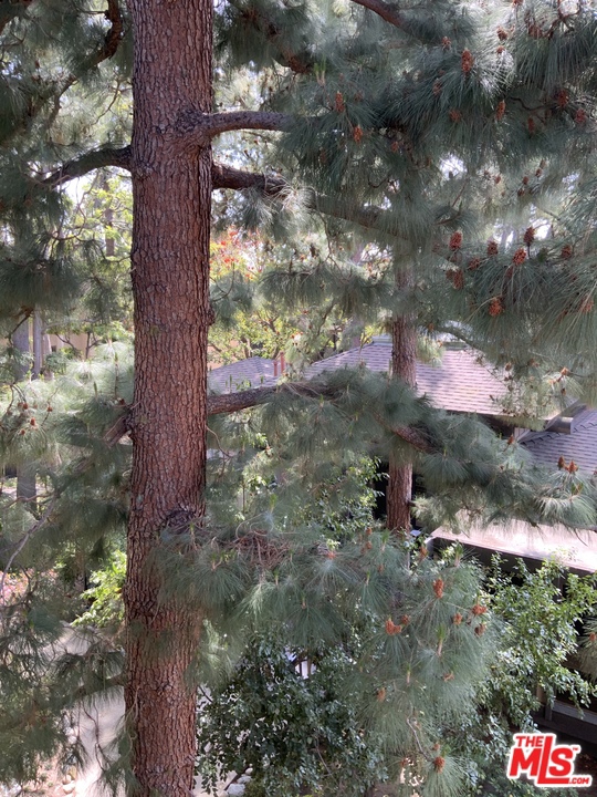 1 Bed Home for Sale in Culver City, California