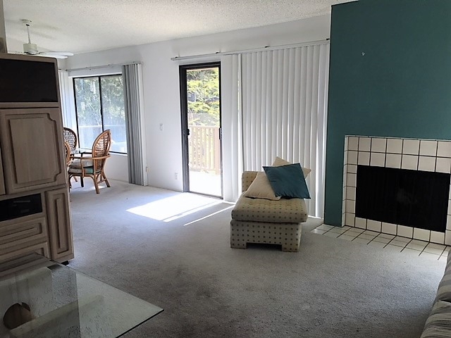 Fireplace and access to balcony from living room.