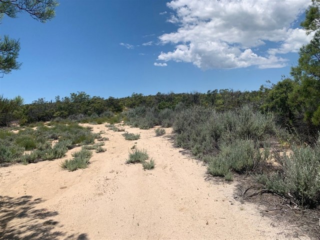 Old Highway 80