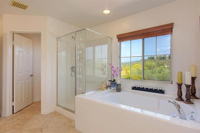 Separate tub and shower! Check out the Valley/Canyon view while you are in the tub!