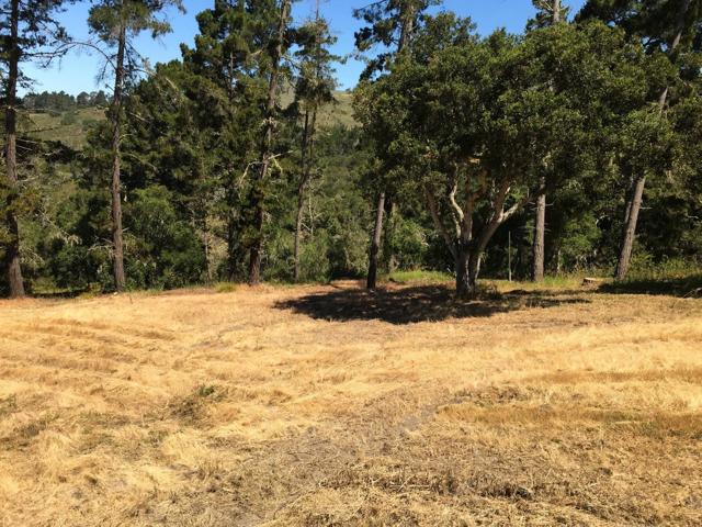 Alta Madera (Tehama Lot 4), 93923, ,For Sale,Alta Madera (Tehama Lot 4),ML81710056