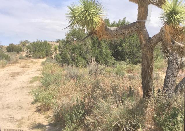 Mt Emma/85th Ste, Palmdale, CA, 93550 Mt Emma/85th Ste