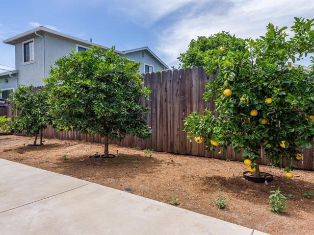 Stanford, 94063, 4 Bedrooms Bedrooms, ,2 BathroomsBathrooms,For Sale,Stanford,ML81744056