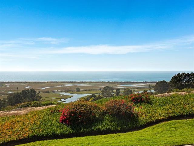 Panoramic Ocean Views and World-Famous Torrey Pines Reserve!