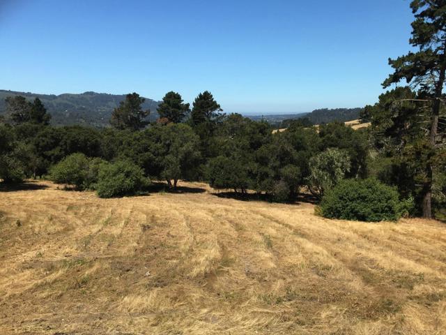 Alta Madera (Tehama Lot 4), 93923, ,For Sale,Alta Madera (Tehama Lot 4),ML81710056