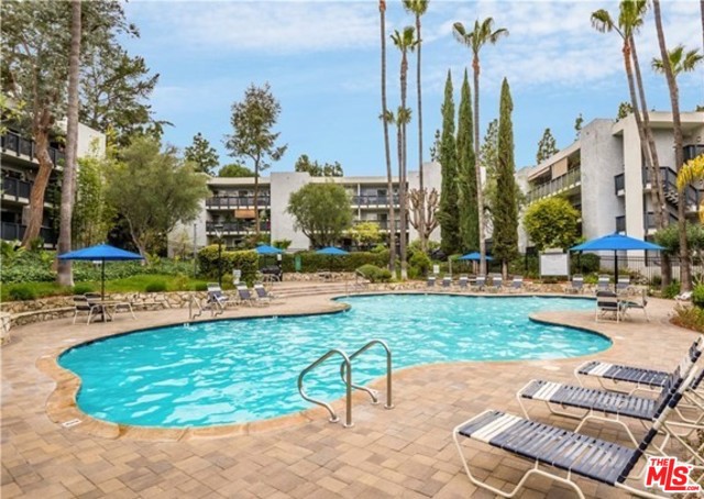 Pool and Lounge Area