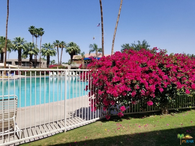 Main pool view from patio