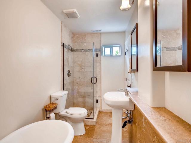 View of walk-in shower for downstairs bath.