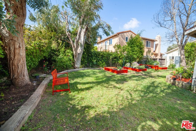 Spacious Backyard