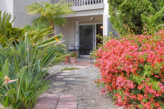 More of the garden area outside your patio - and truly - when you are standing in this very spot - you do see that big, blue ocean -