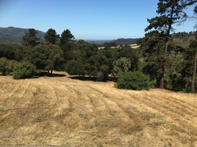 Alta Madera (Tehama Lot 4), 93923, ,For Sale,Alta Madera (Tehama Lot 4),ML81710056