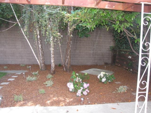 248 Louette Ct, San Lorenzo, CA 94541 photo 21