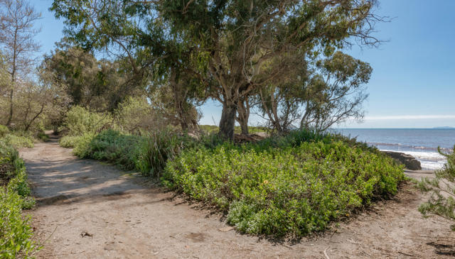 Carpinteria Bluffs Trail