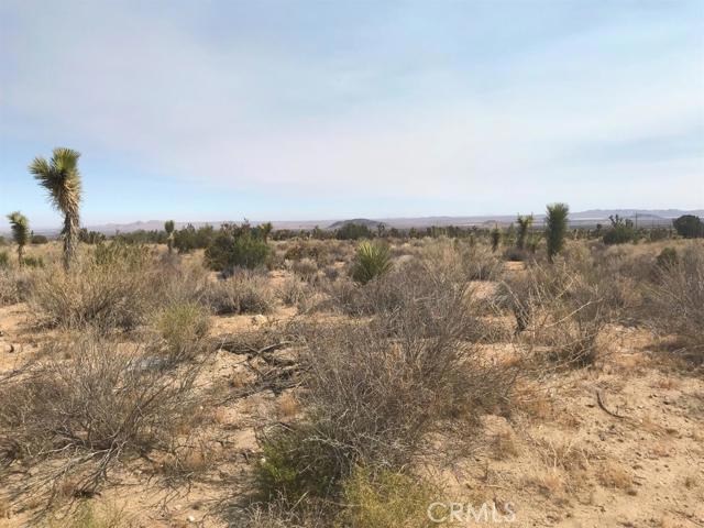 Fort Tejon Rd APN:3086-013-002, 93544, ,For Sale,Fort Tejon Rd APN:3086-013-002,507913