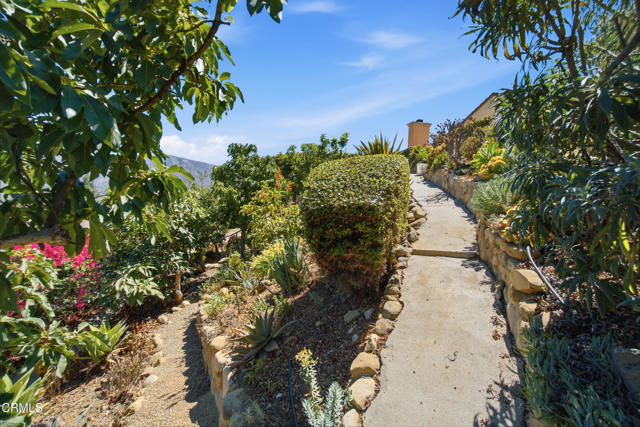 Property Photo 39