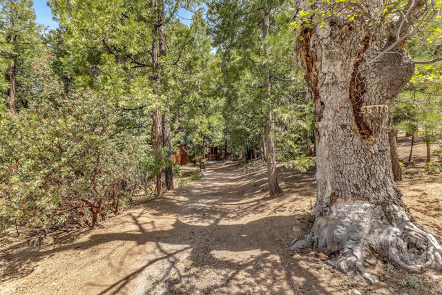 feature listing property photo