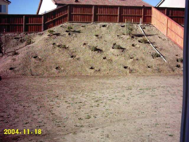 MLS #41077439 image #6