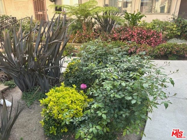 Property Photo 59