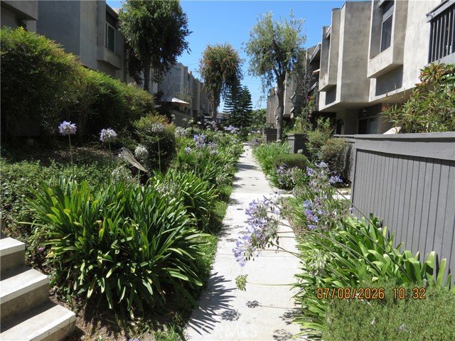 203 Ridge Terrace