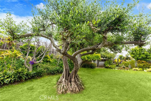 property-img