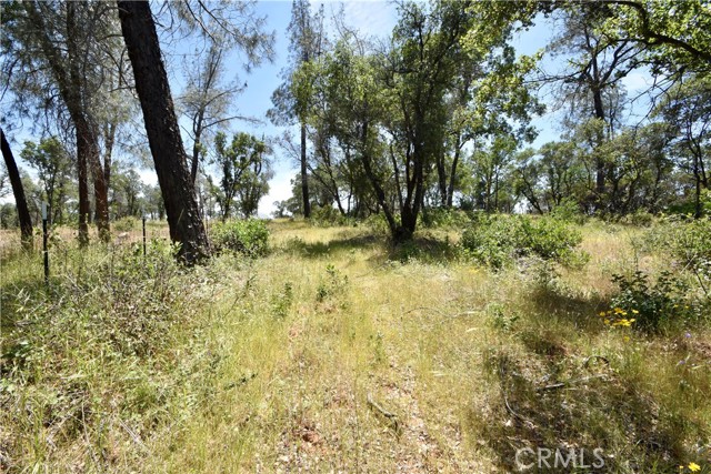 0 Mackey Court, Oroville CA: https://media.crmls.org/medias/0009aae2-e2a8-4707-884d-e422c5ff237d.jpg