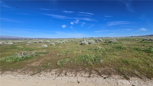 Detail Gallery Image 13 of 36 For 0 Vicinity Ave B12 & 265th St W, –,  CA 93536 - – Beds | – Baths