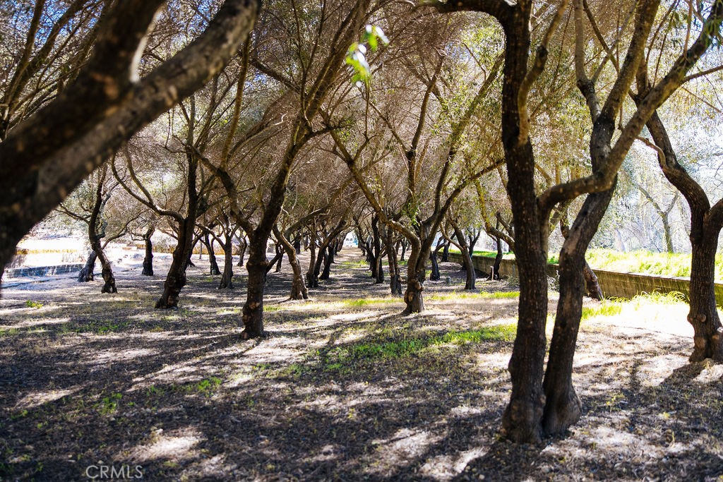 0013338A 360C 442C 9296 E587B25B7964 1001 Silverado Trail South, St. Helena, Ca 94574 &Lt;Span Style='BackgroundColor:transparent;Padding:0Px;'&Gt; &Lt;Small&Gt; &Lt;I&Gt; &Lt;/I&Gt; &Lt;/Small&Gt;&Lt;/Span&Gt;