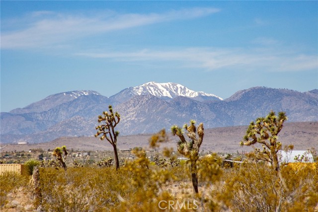 Detail Gallery Image 22 of 24 For 2674 Manana Ave, Joshua Tree,  CA 92252 - – Beds | – Baths