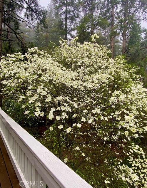 Detail Gallery Image 29 of 31 For 841 Cottage Grove Rd, Lake Arrowhead,  CA 92352 - 3 Beds | 2 Baths