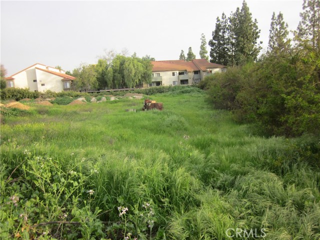 Image 3 of 12 For 11819 Kagel Canyon