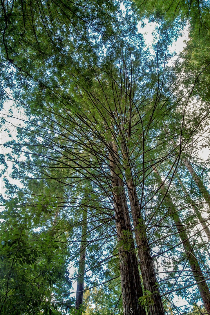 MLS #OC25221127 image #4