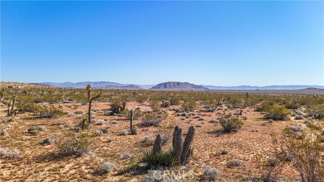 Detail Gallery Image 45 of 48 For 438 Sage Ave, Yucca Valley,  CA 92284 - – Beds | – Baths