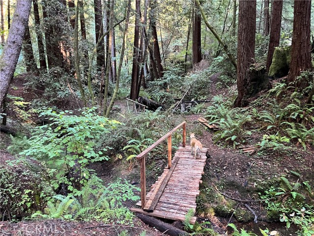 Detail Gallery Image 24 of 40 For 16125 Bittner Rd, Occidental,  CA 95465 - 4 Beds | 2 Baths