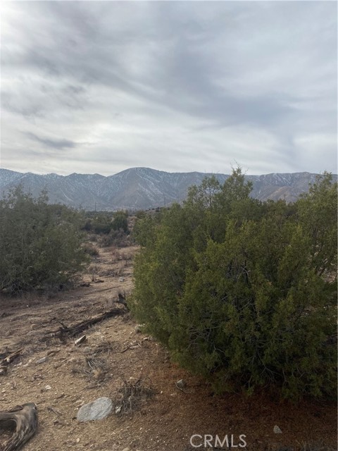 Detail Gallery Image 7 of 15 For 14 E Vac/Z14e Lepage Ranch Rd/Vic,, –,  CA 93543 - – Beds | – Baths