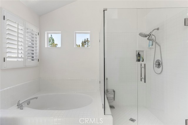 Primary Soaking Tub and Shower