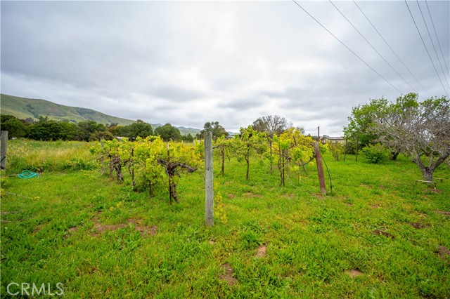 Detail Gallery Image 10 of 58 For 3876 Orcutt Rd, San Luis Obispo,  CA 93401 - 3 Beds | 2 Baths