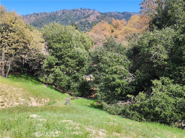 327 Davos Drive, Crestline CA: https://media.crmls.org/medias/00456275-aa84-4366-99d0-e0374b0ee49b.jpg