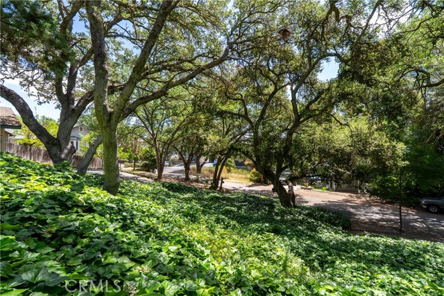 Detail Gallery Image 3 of 59 For 5270 Alamo Ave, Atascadero,  CA 93422 - 4 Beds | 2/1 Baths