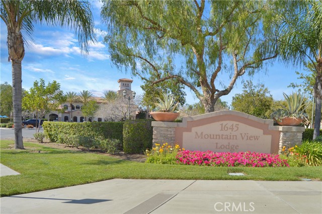 Detail Gallery Image 64 of 75 For 1681 via Borrego, Hemet,  CA 92545 - 2 Beds | 2 Baths