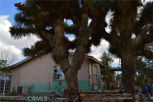 Detail Gallery Image 59 of 60 For 12263 Mountain Rd, Pinon Hills,  CA 92372 - 3 Beds | 2 Baths